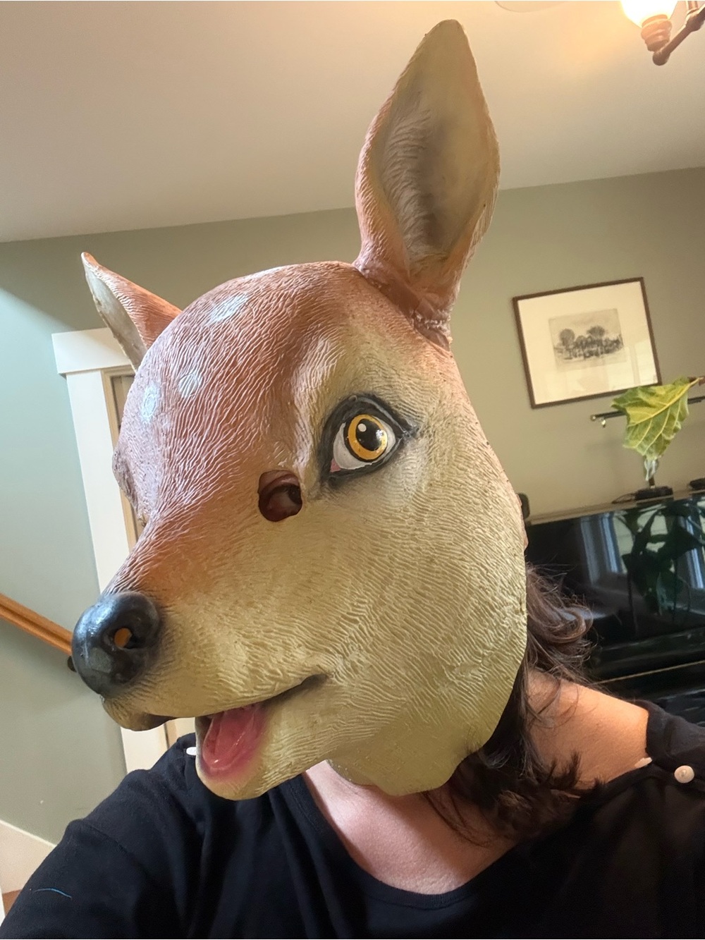 Deer mask